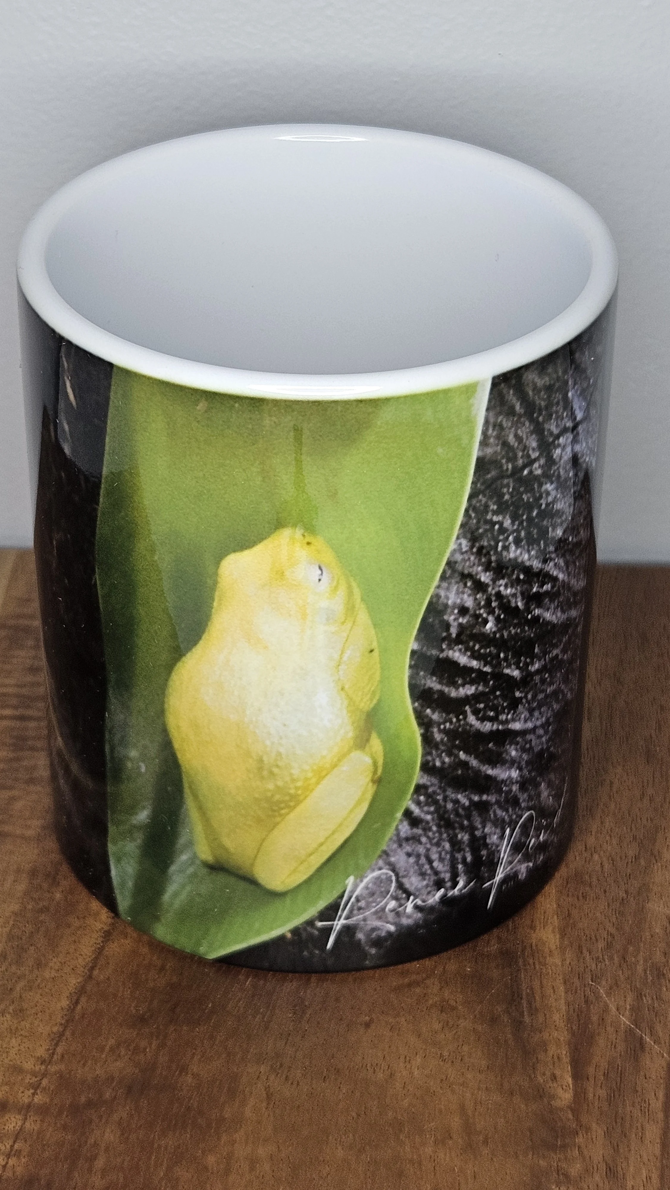 Green  Tree Frog Mug