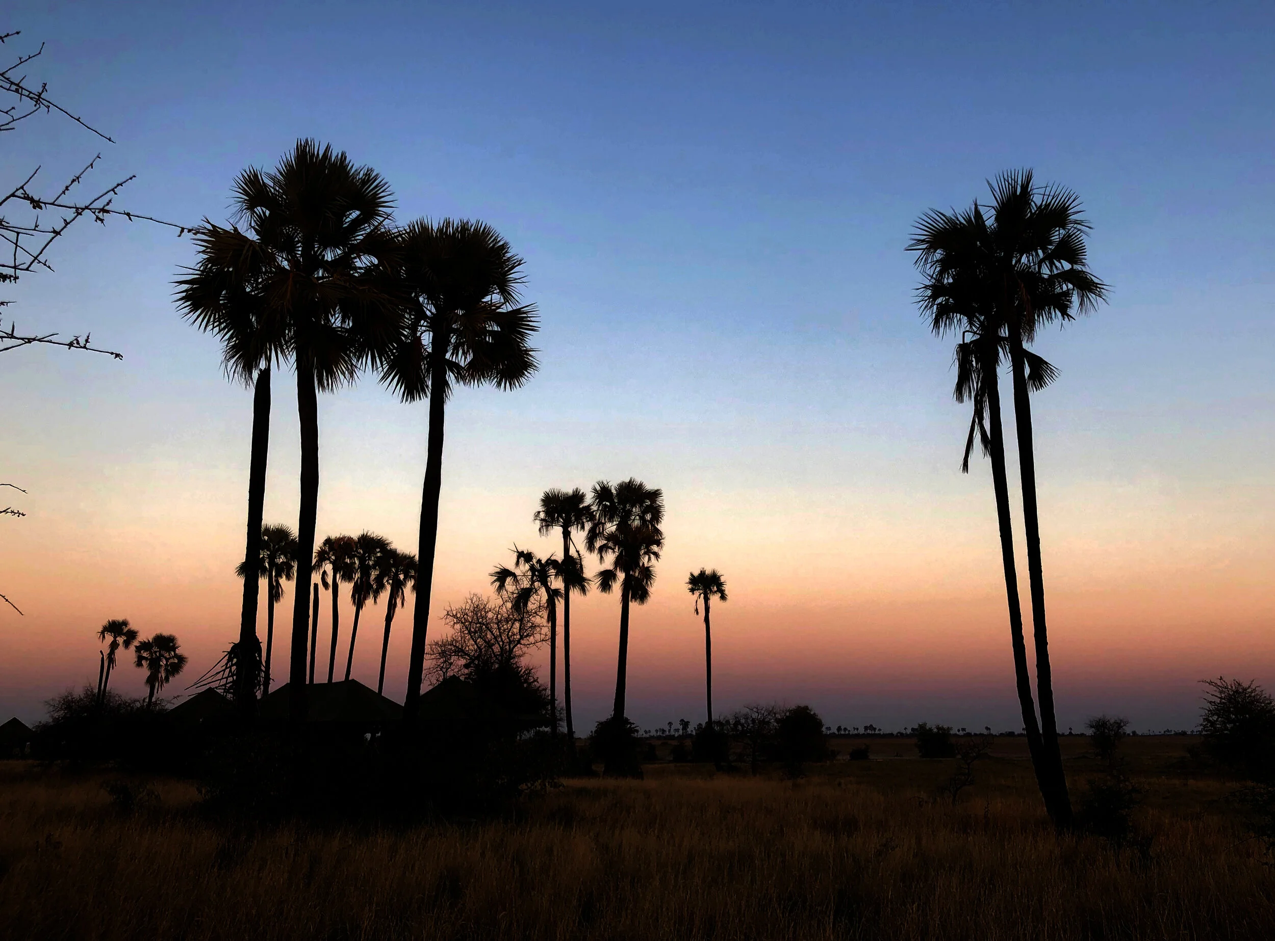Botswana_Jacks camp -G gradecopy.jpg