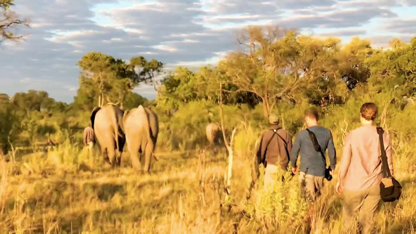 My View: Botswana