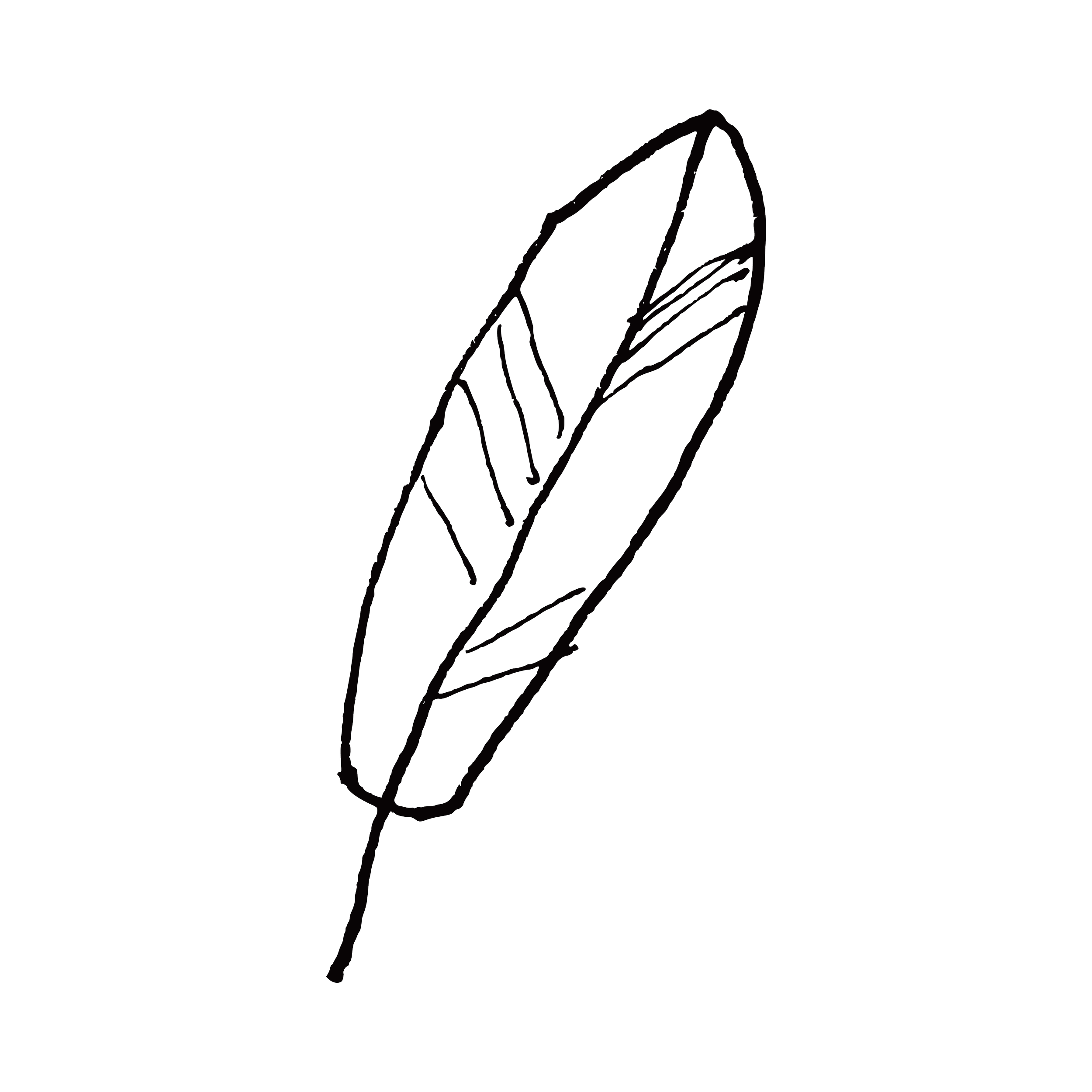 It all begins with an owl… or four.