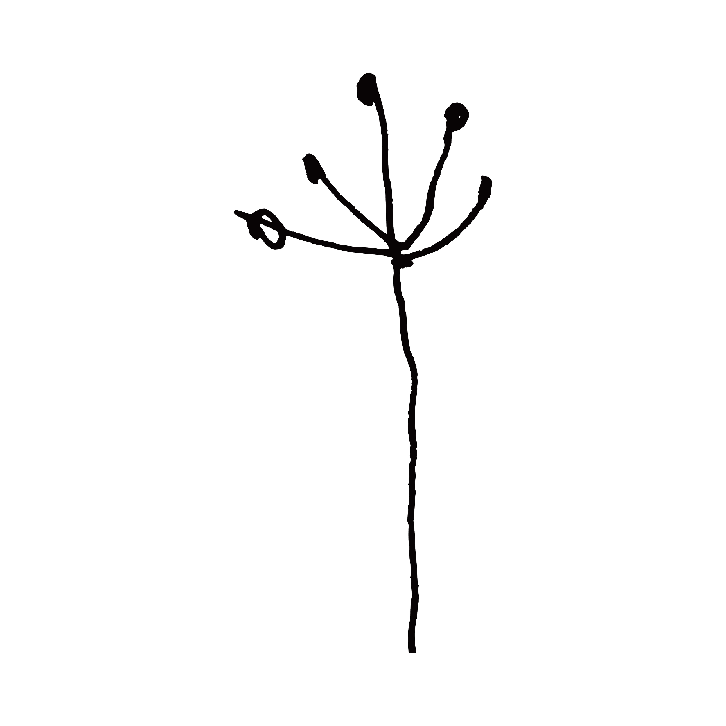 Who is the odd one here?