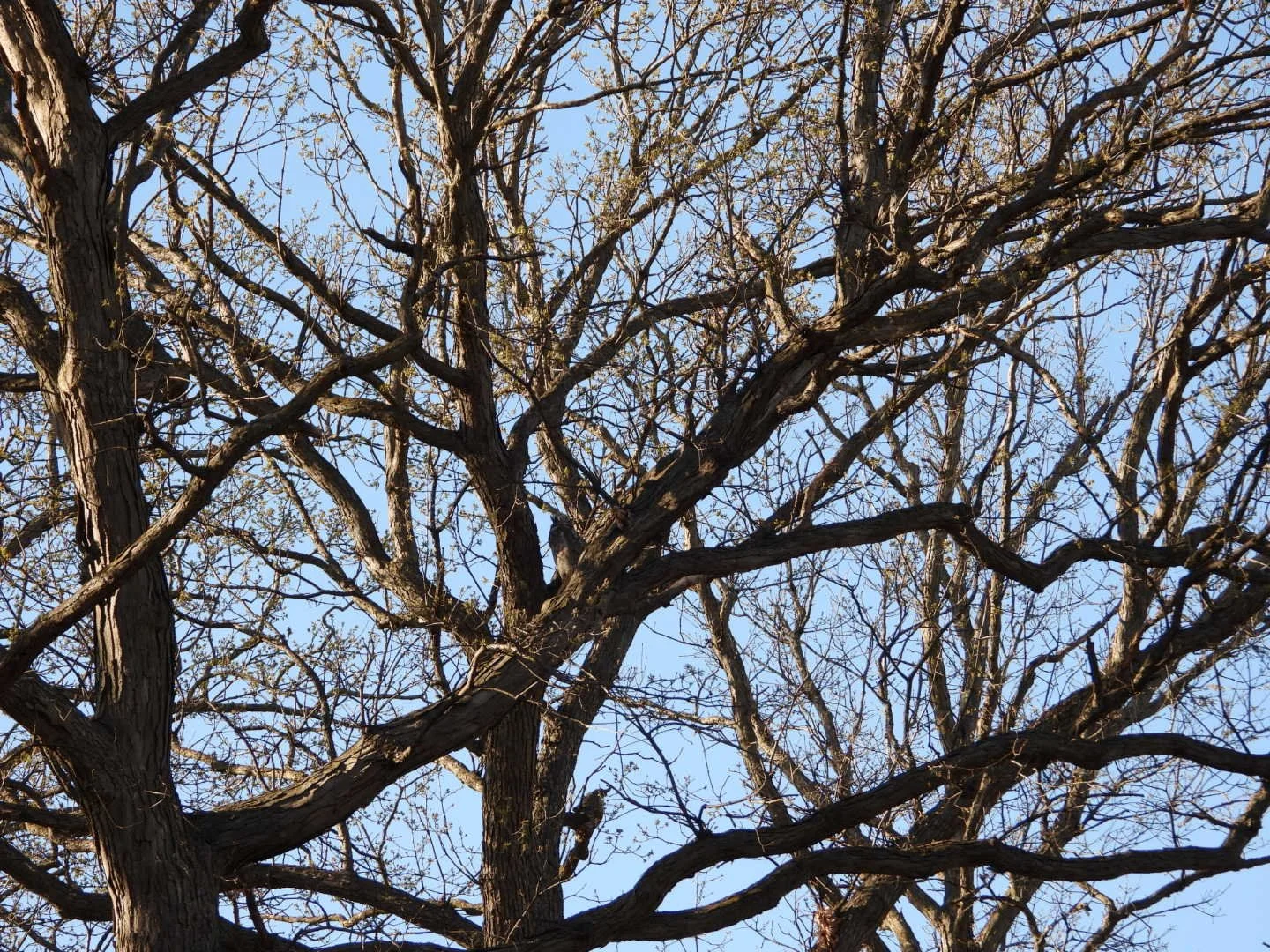 DSCN3876.JPG