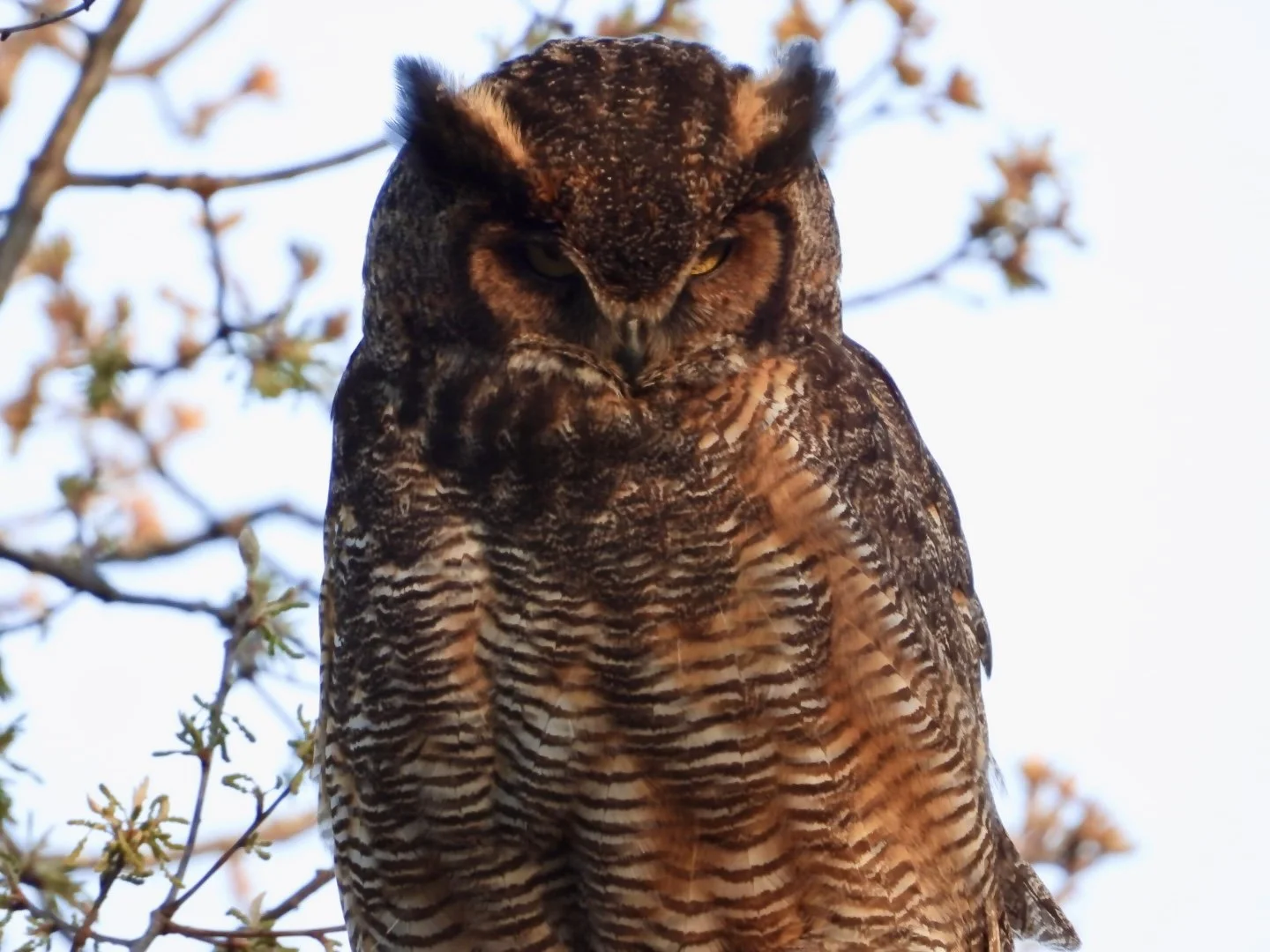 DSCN4108.jpg