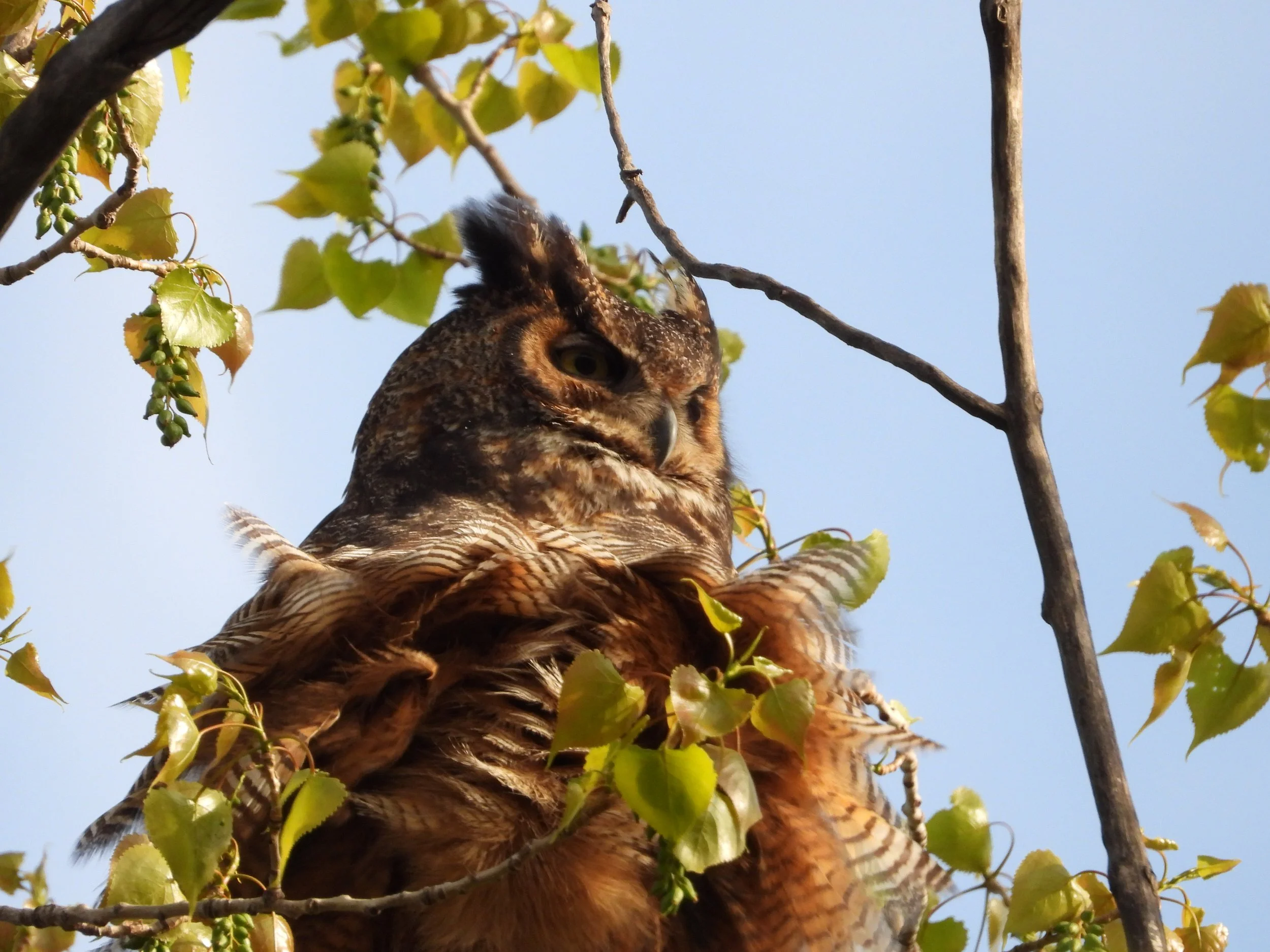 DSCN4646.JPG