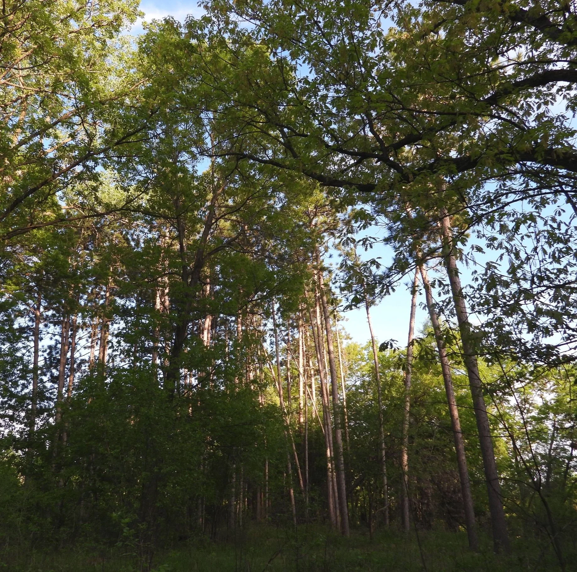 DSCN6289.jpg