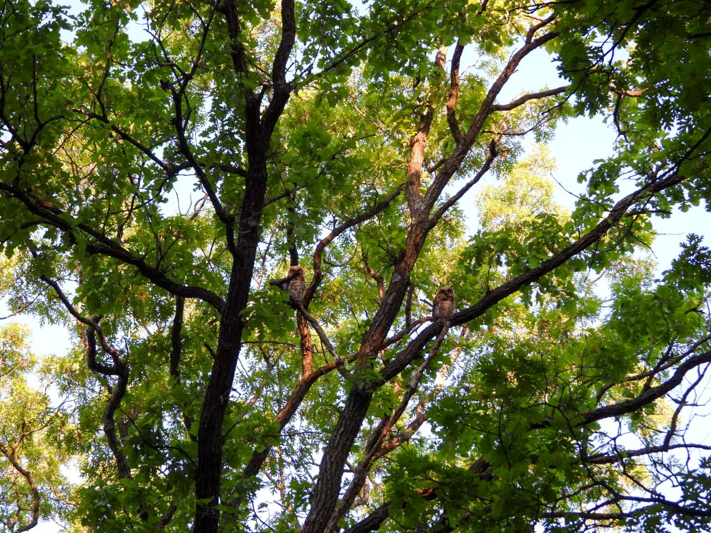 DSCN7312.JPG