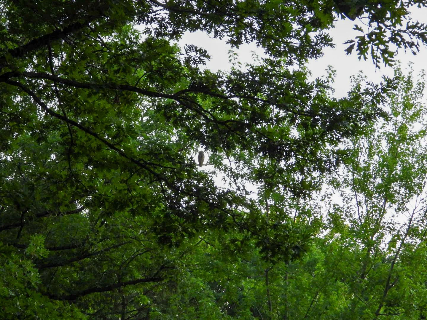 DSCN1154.JPG