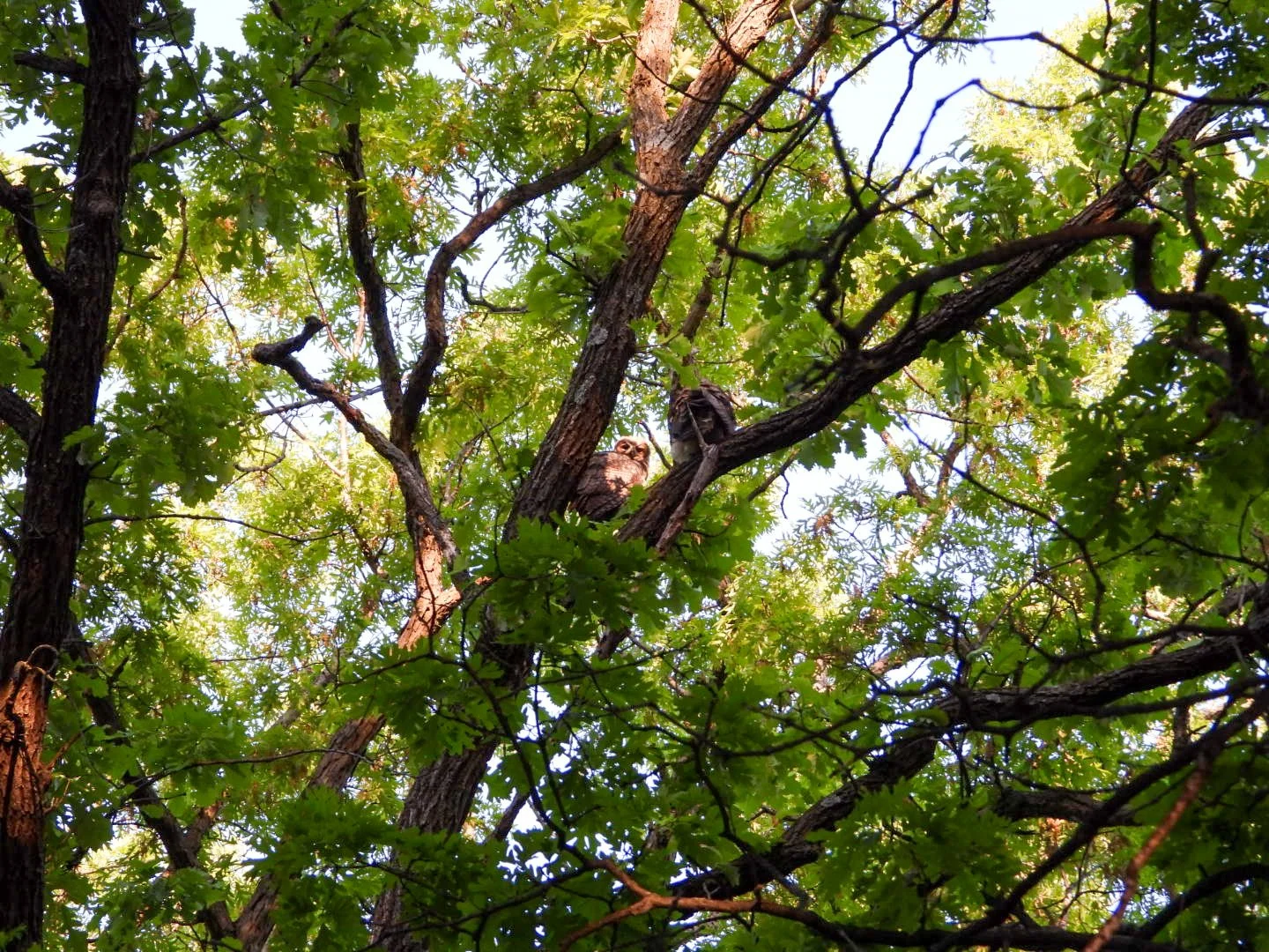 DSCN7345.JPG