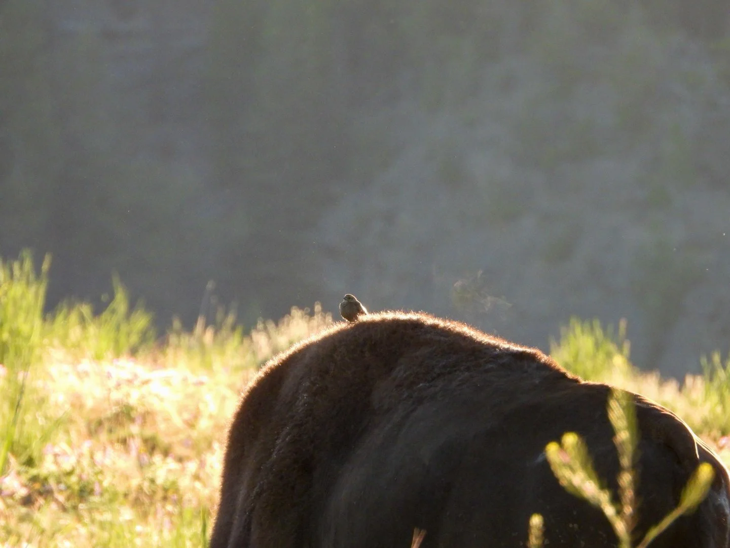 DSCN0425.JPG
