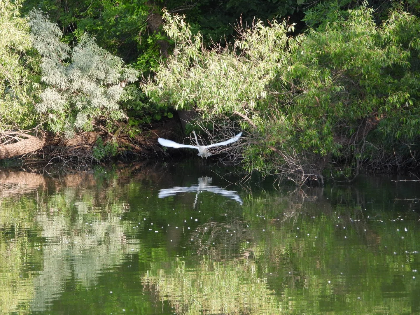 DSCN9336.JPG