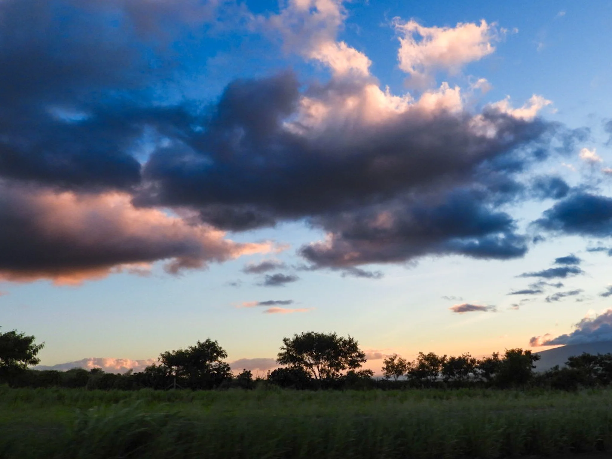 Landscapes