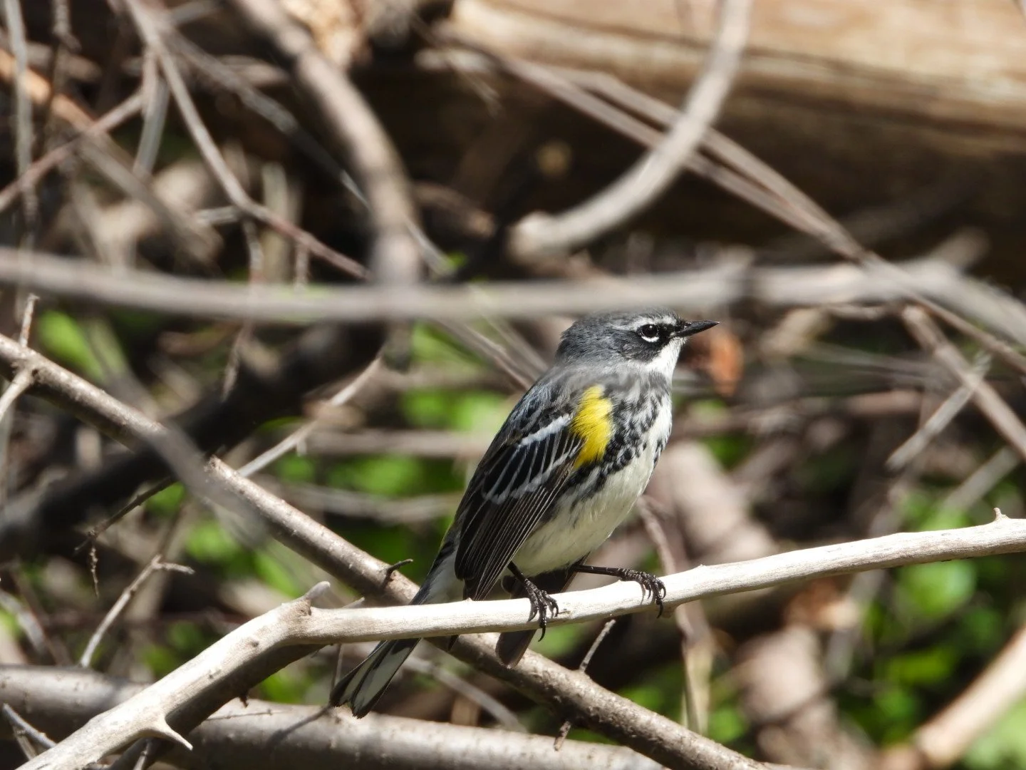 DSCN4180.JPG