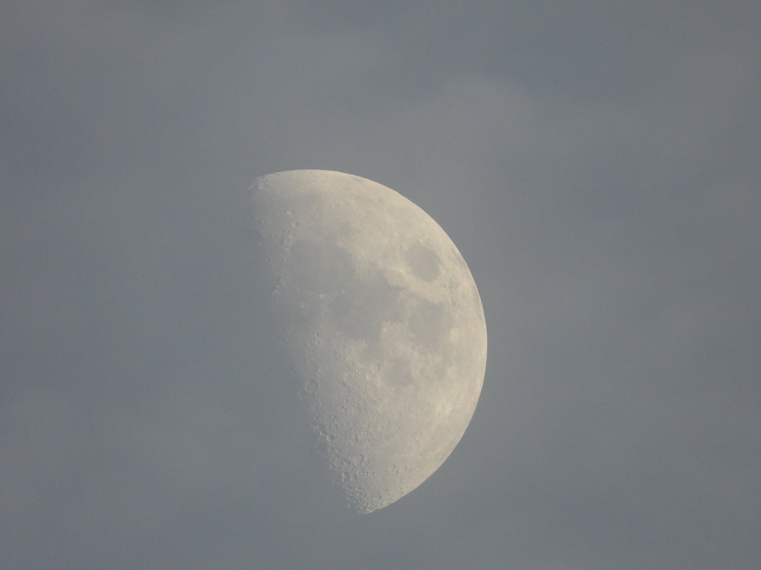 Moon