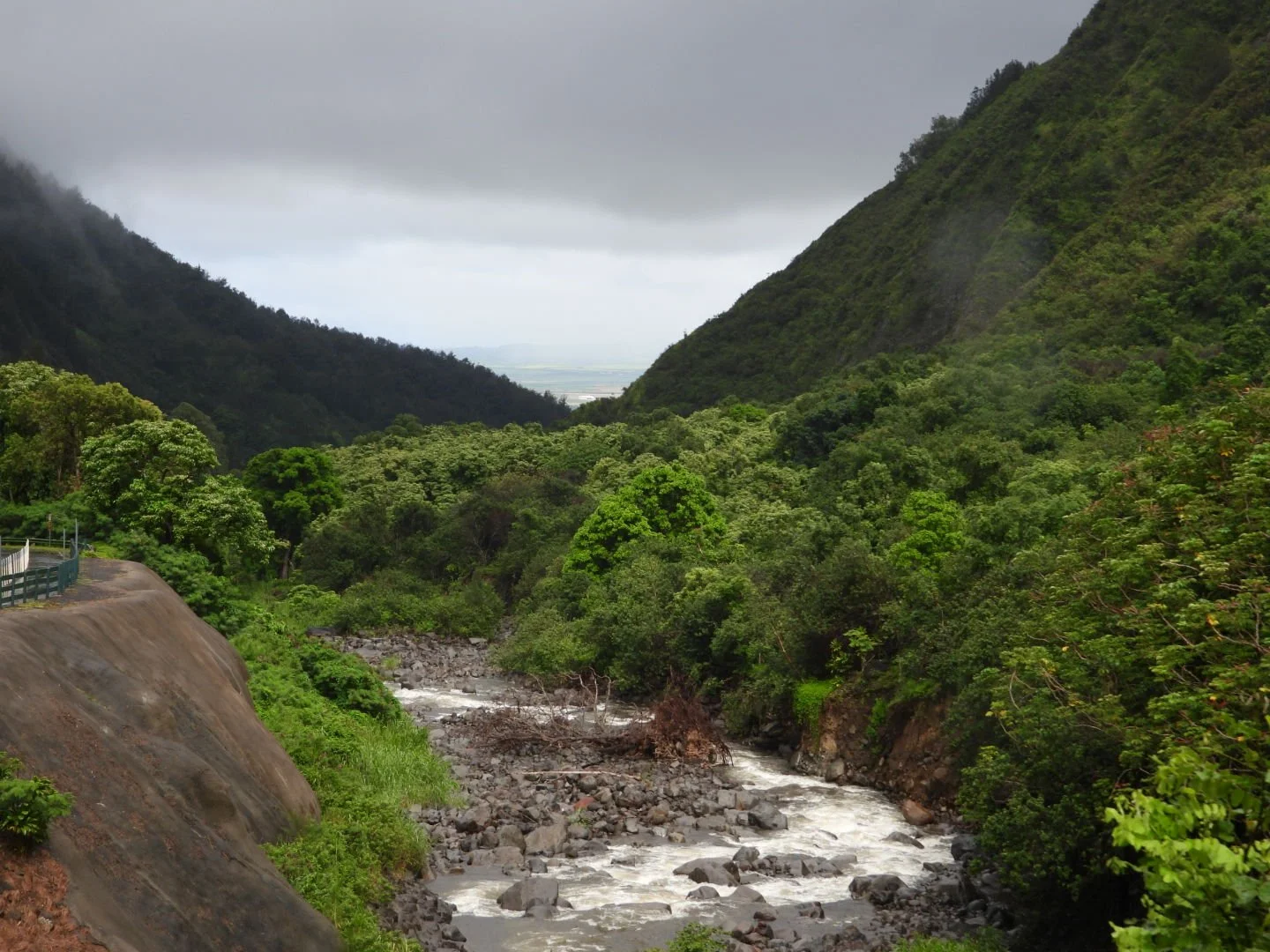 DSCN3120.JPG