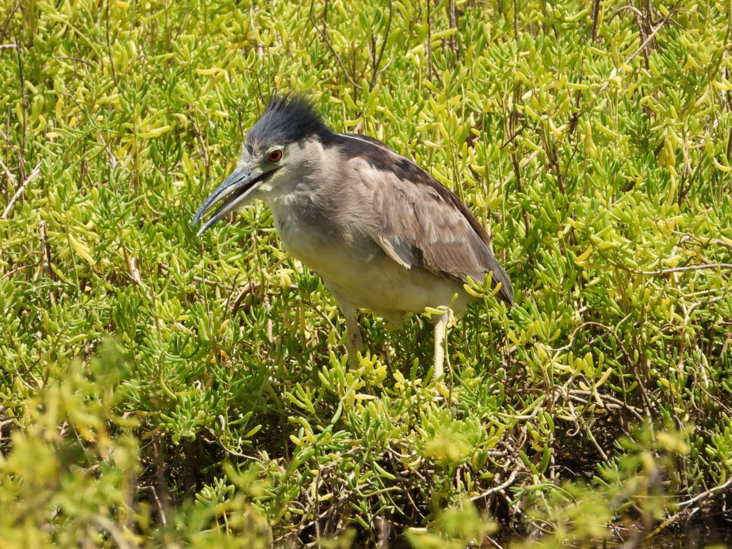 DSCN2559.JPG