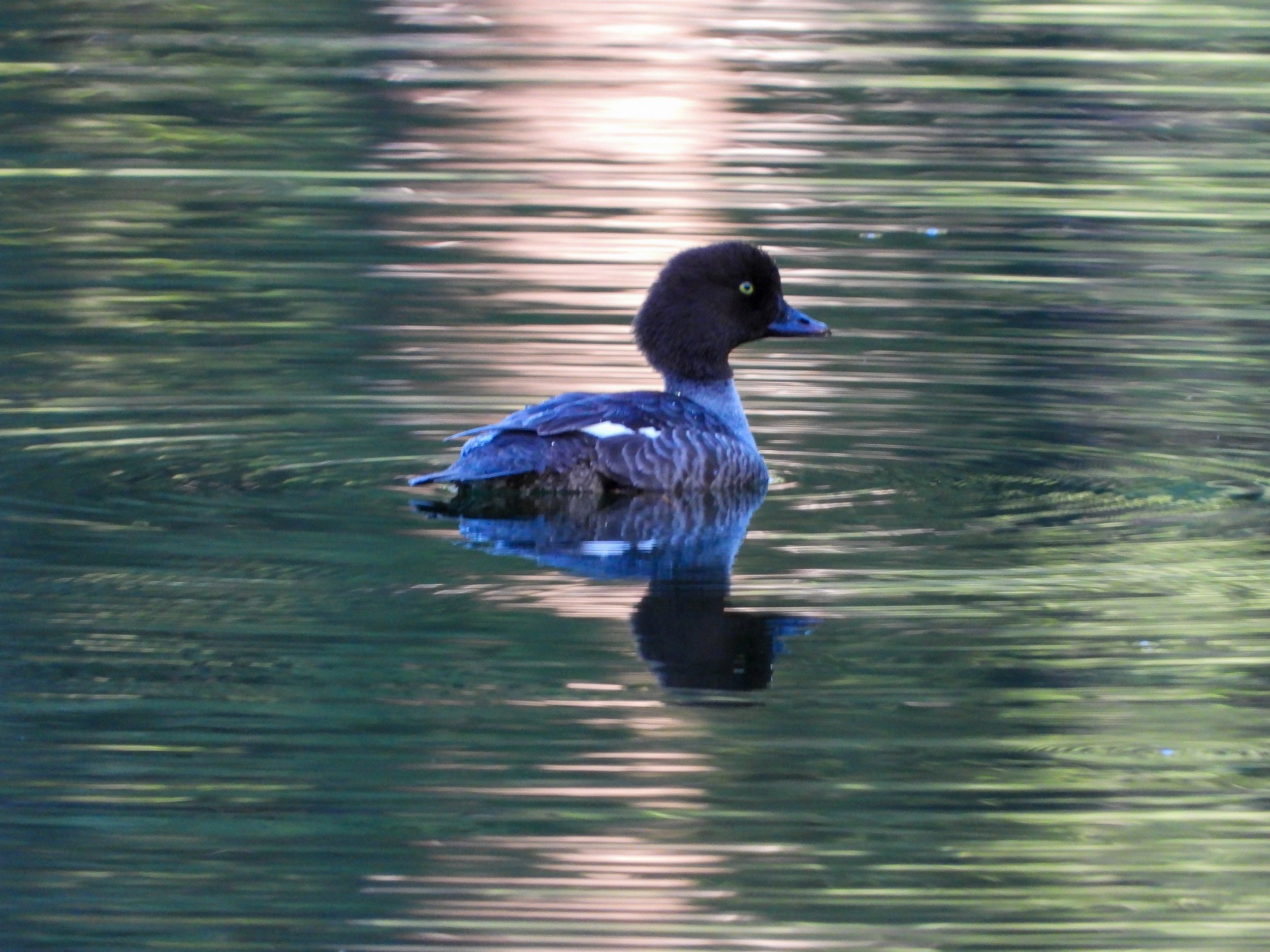 DSCN0633.JPG