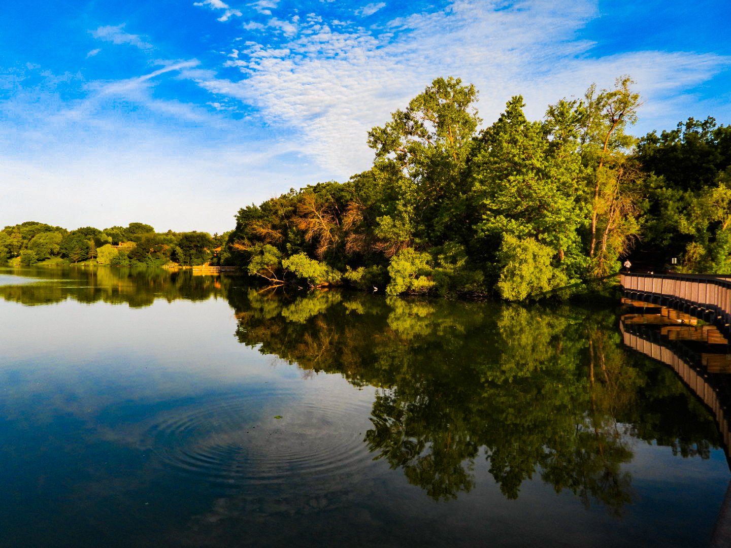 Lake shore