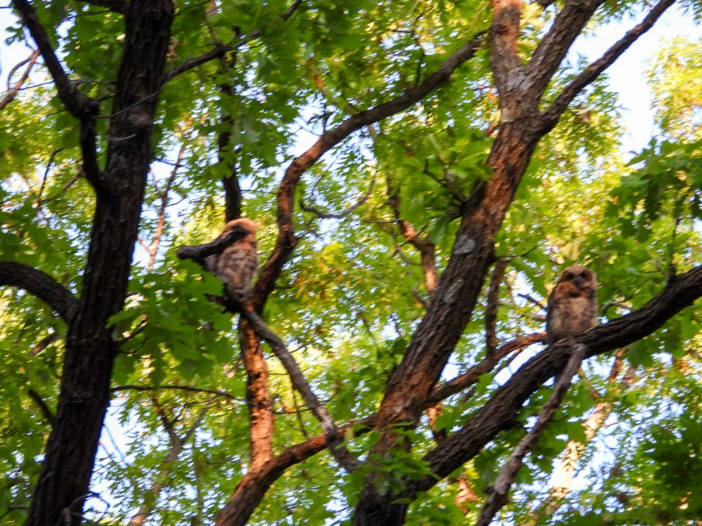 DSCN7313.JPG
