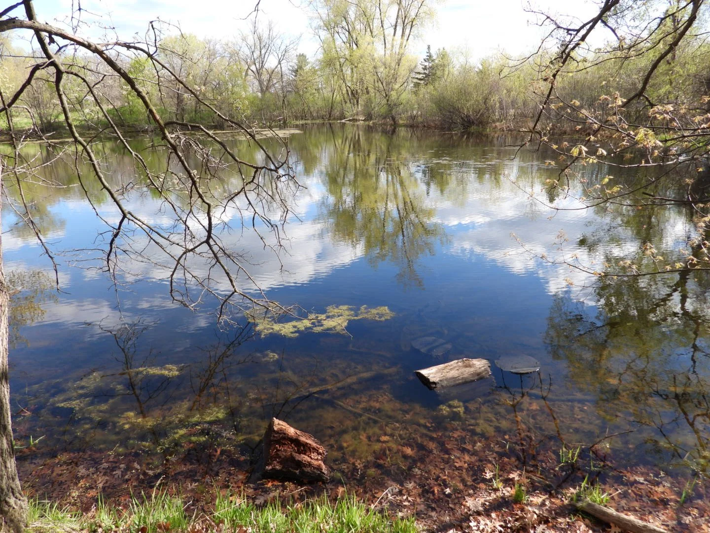 Pond