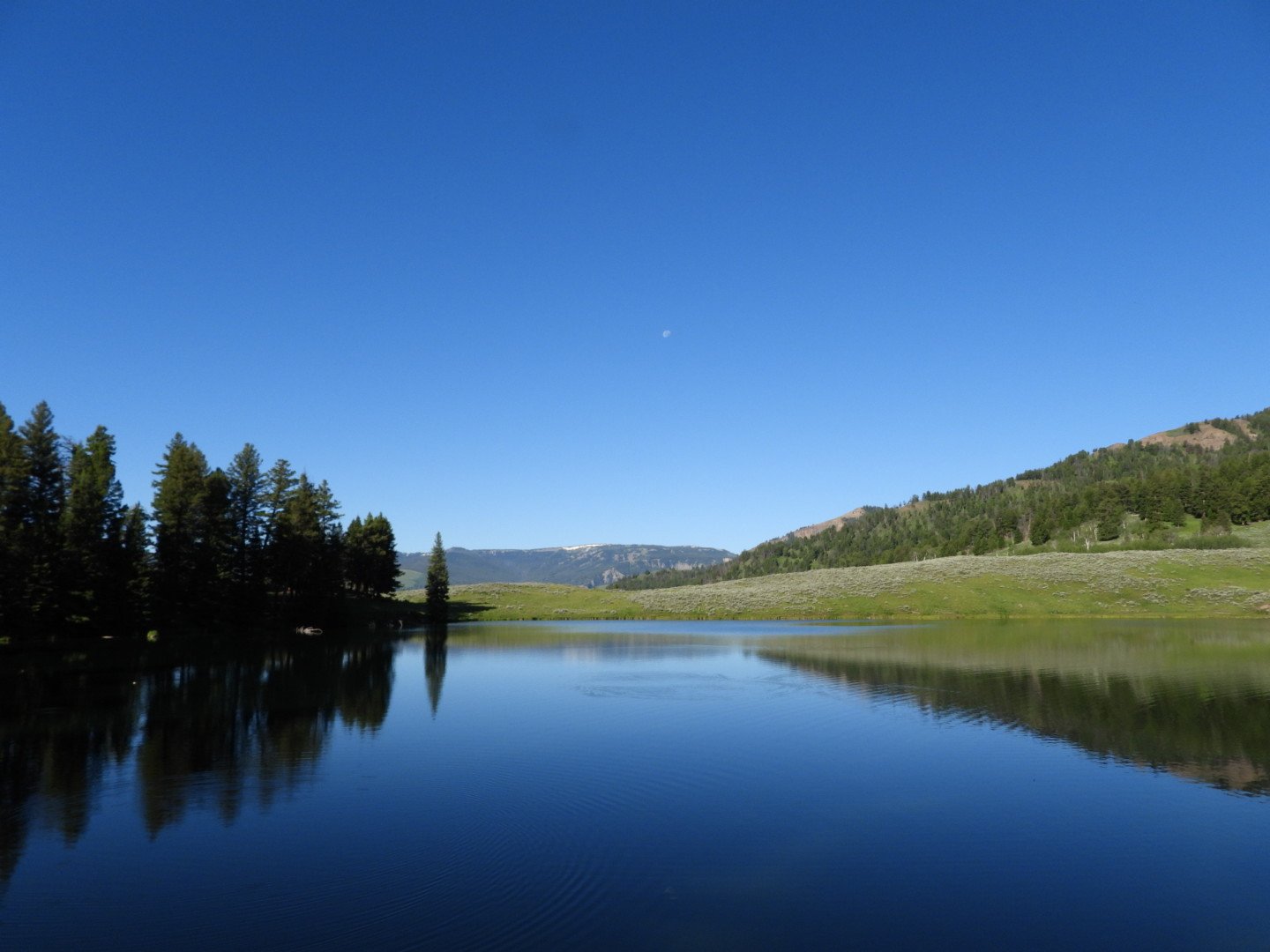 DSCN0653.JPG