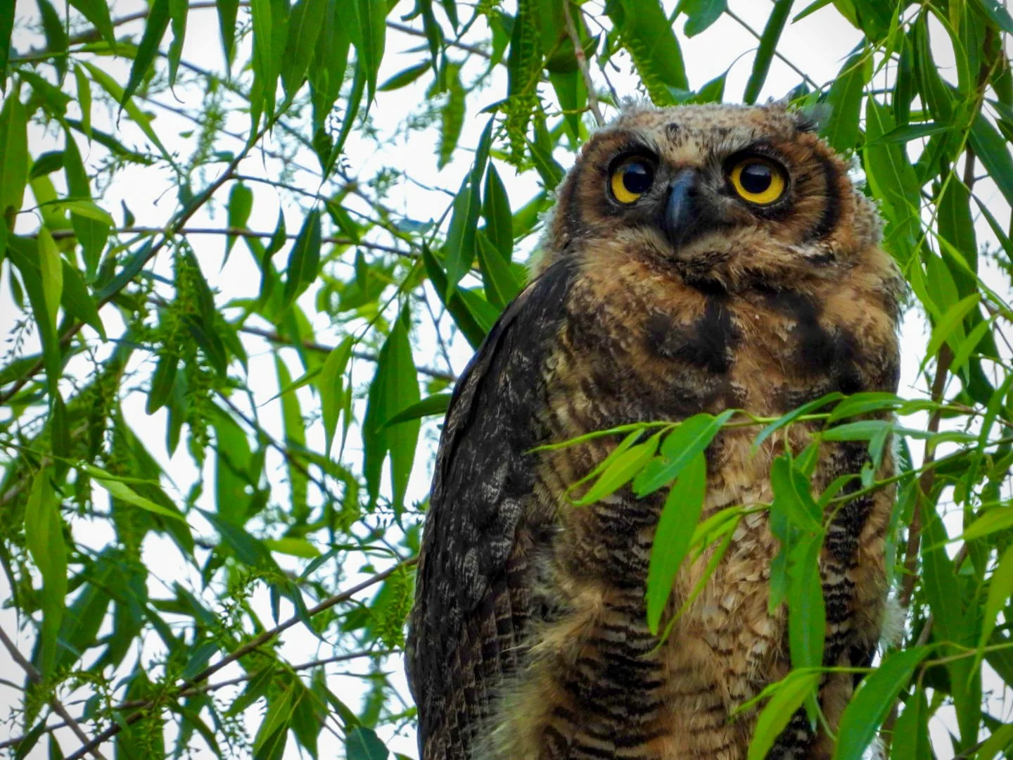 DSCN7221.jpg