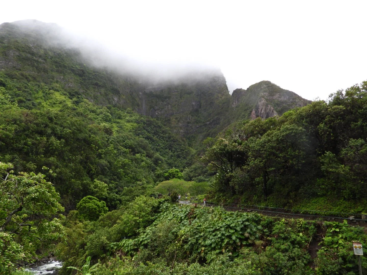 DSCN3106.JPG