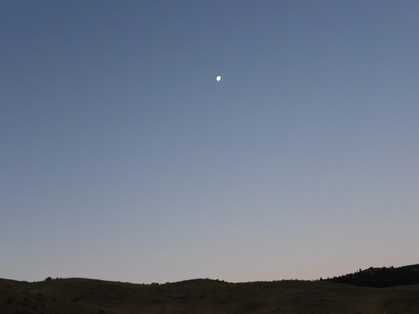 Morning moon over Yellowstone Park