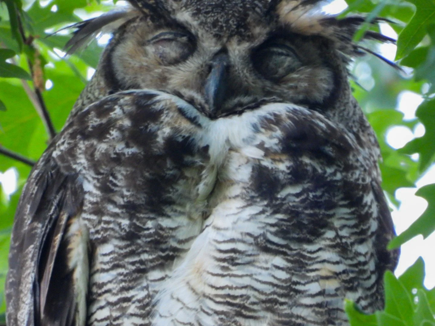 DSCN8115.JPG