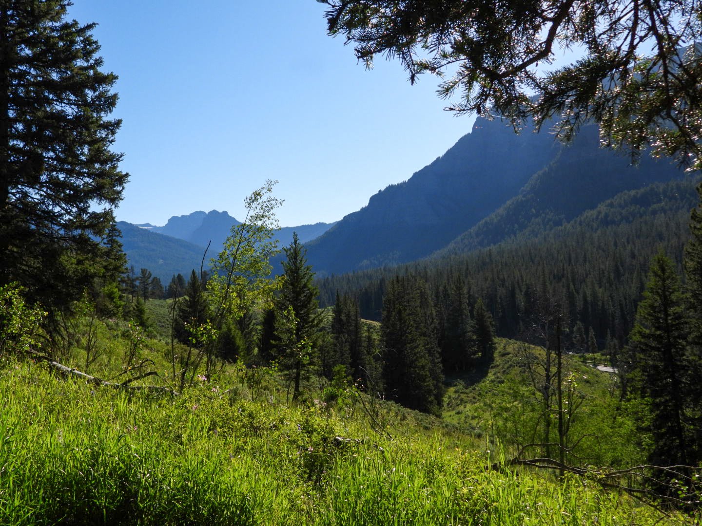 DSCN0617.JPG