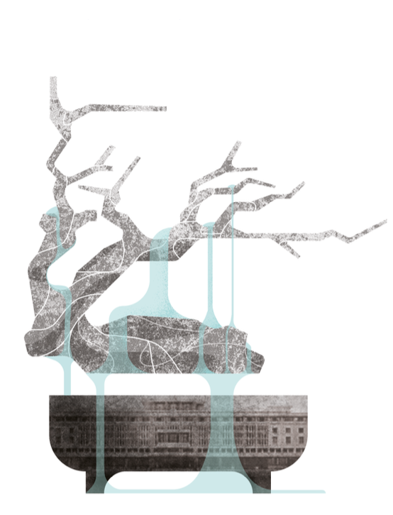 Illustration 1 YYY.png
