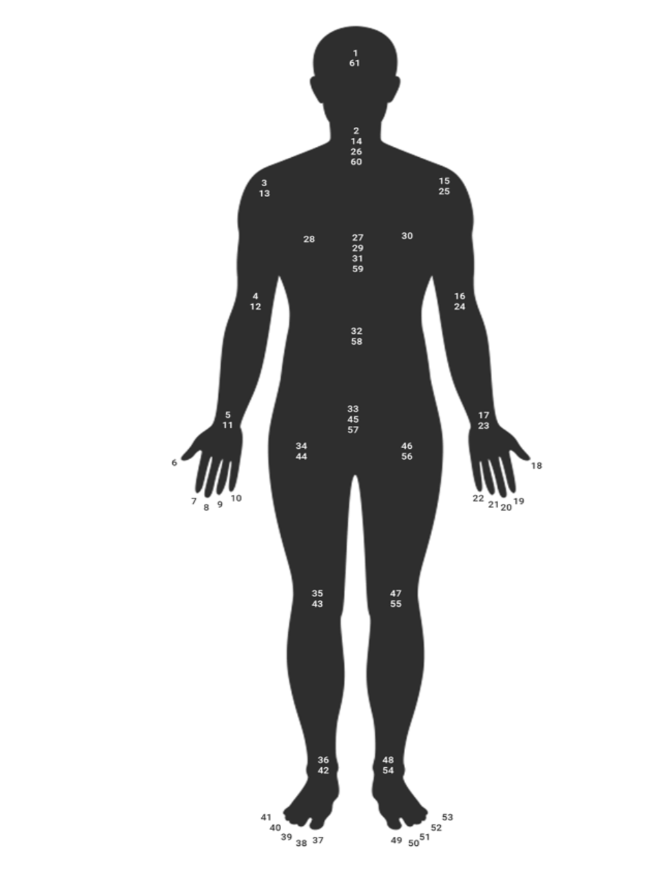 A Four-Part Study of Yoga Nidrā - Session Two, The 61 Points practice - SHAVA YĀTRA
