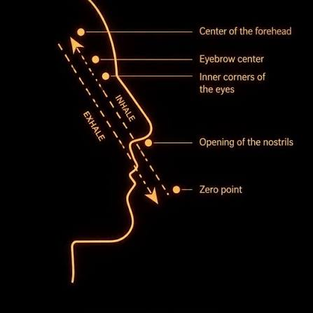 A Four-Part Study of Yoga Nidrā - Session Four Vishoka Meditation