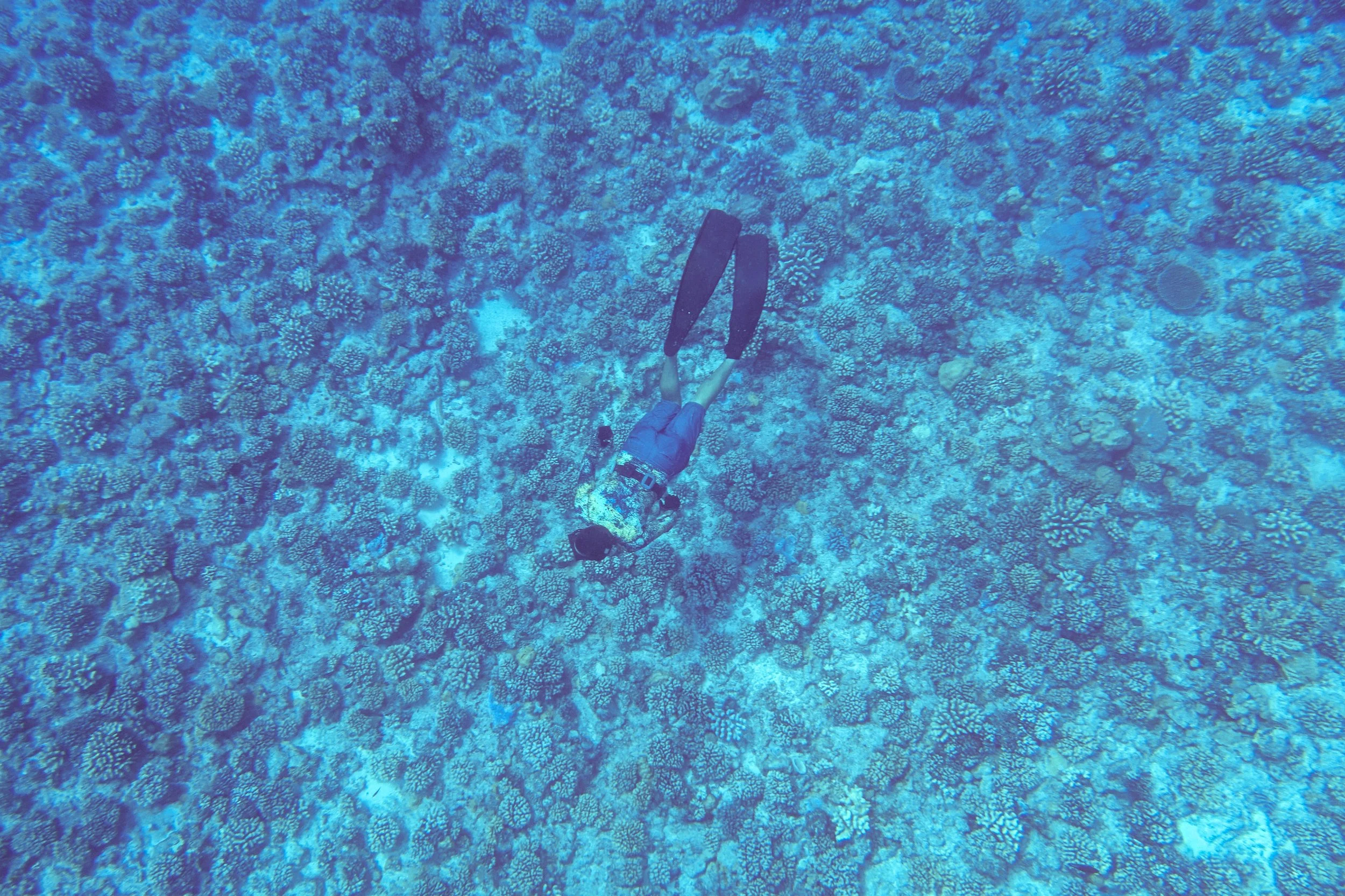 DSC03317.jpg