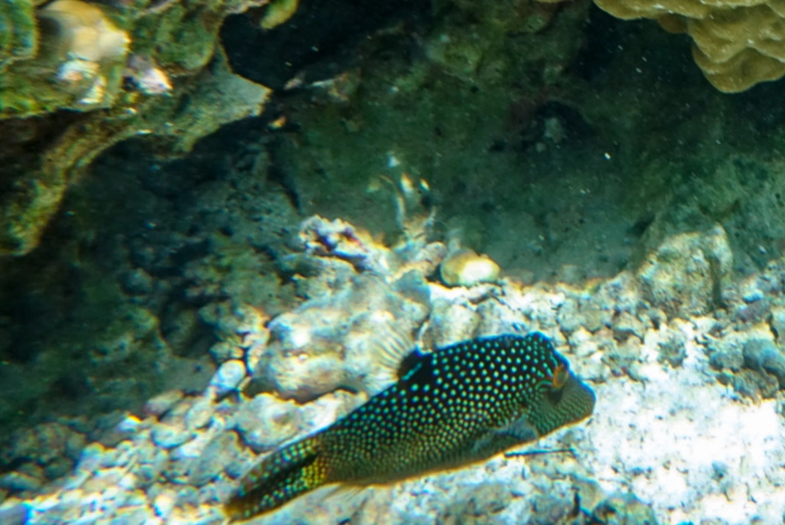 LRG_DSC02727.jpg