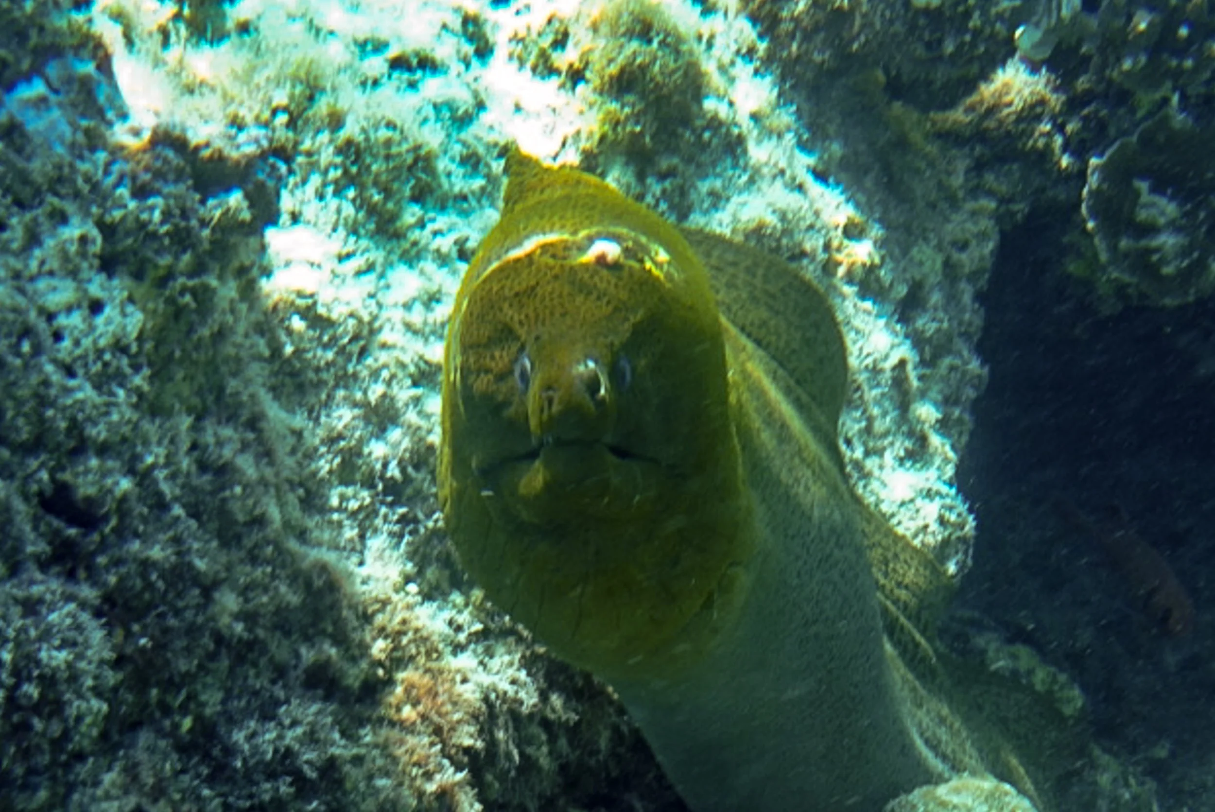 LRG_DSC02965.jpg