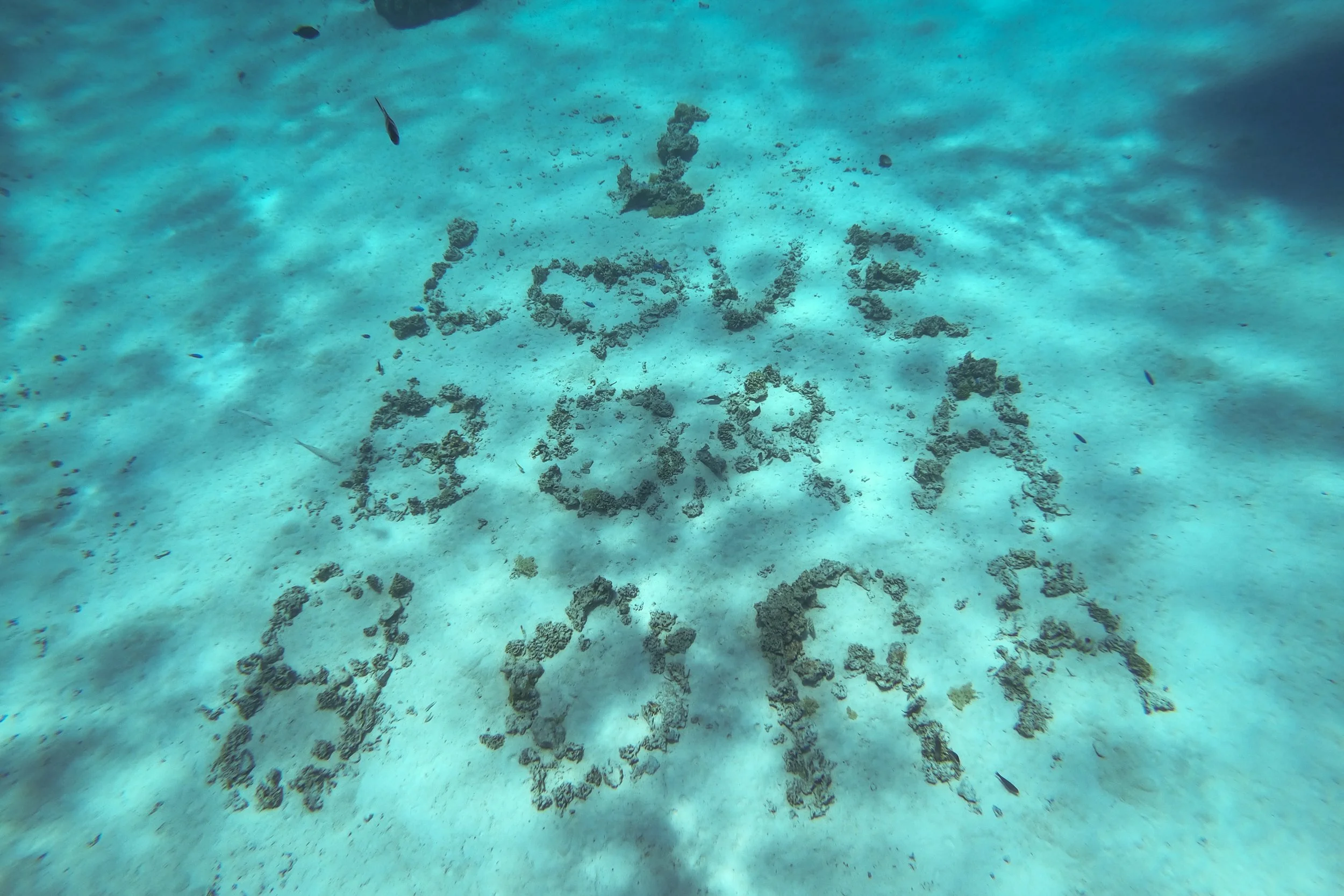 GOPR1002.jpg