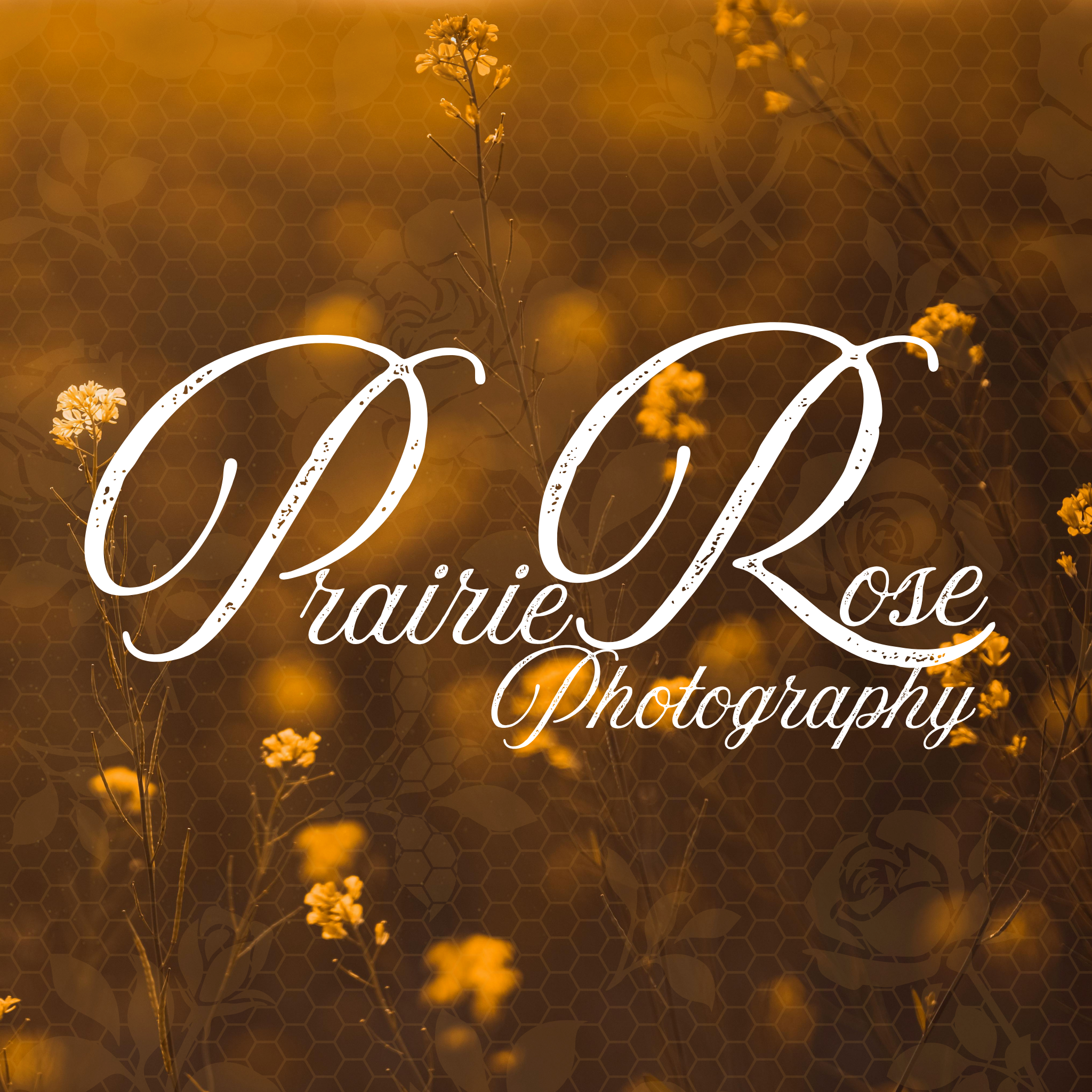 Prairie Rose Photography Logo.png