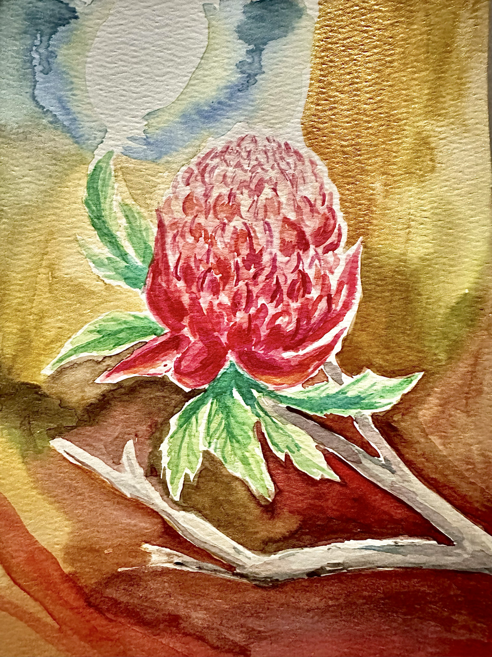 Huy Lim Kha - Hers - 2026 waratah watercolour floral painting