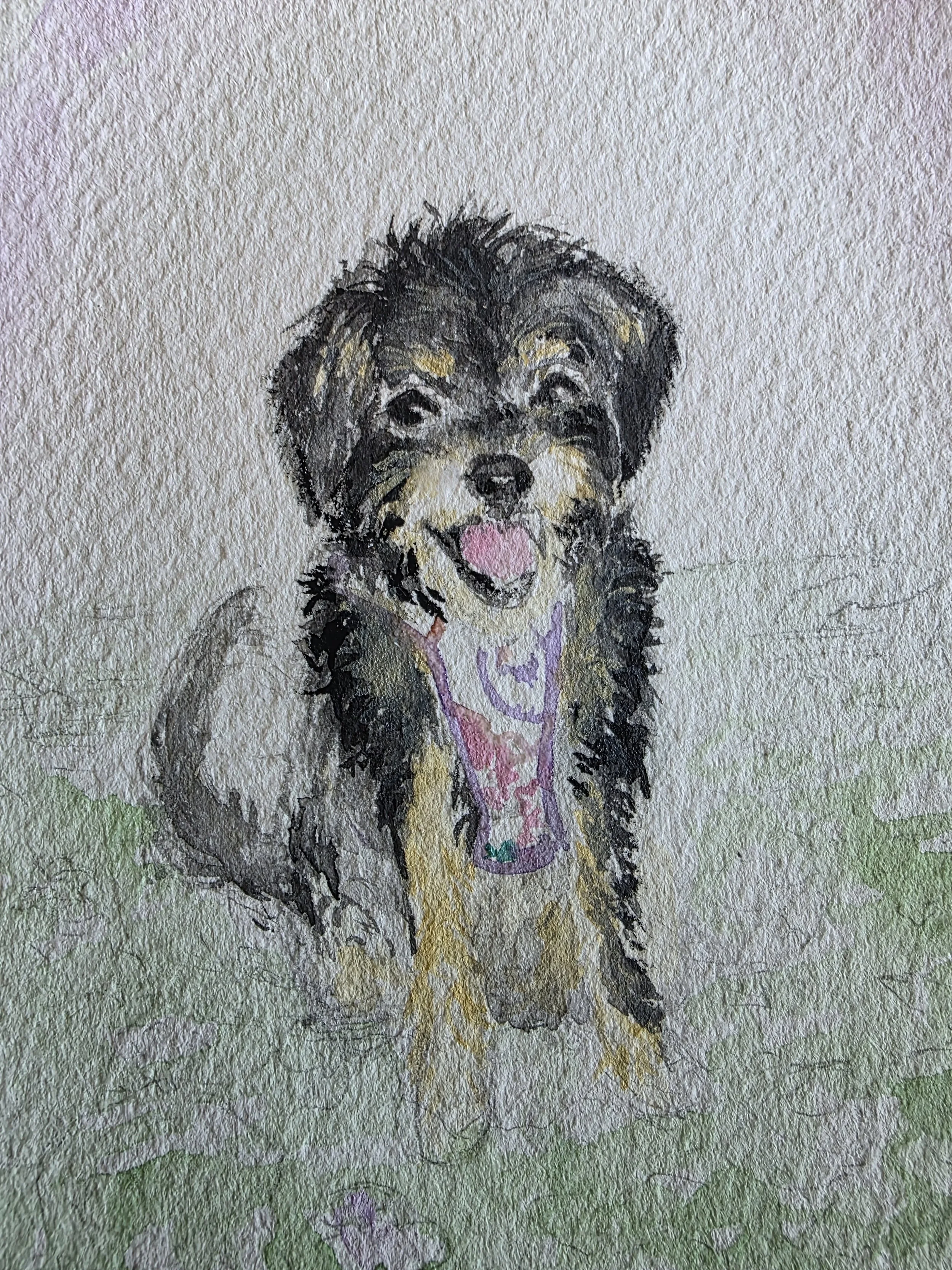 dog portrait watercolour commission