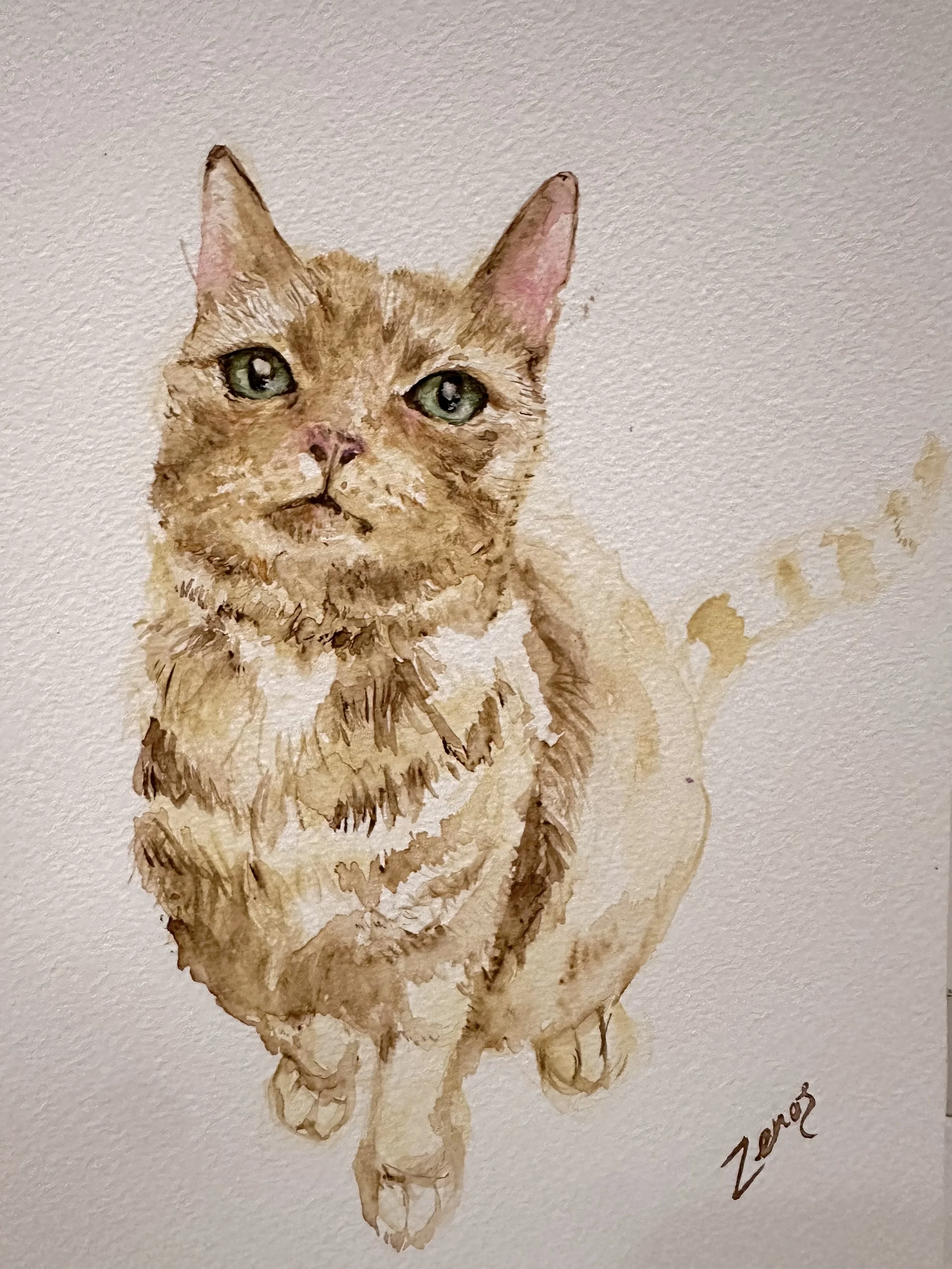 orange ginger tabby cat commission watercolour