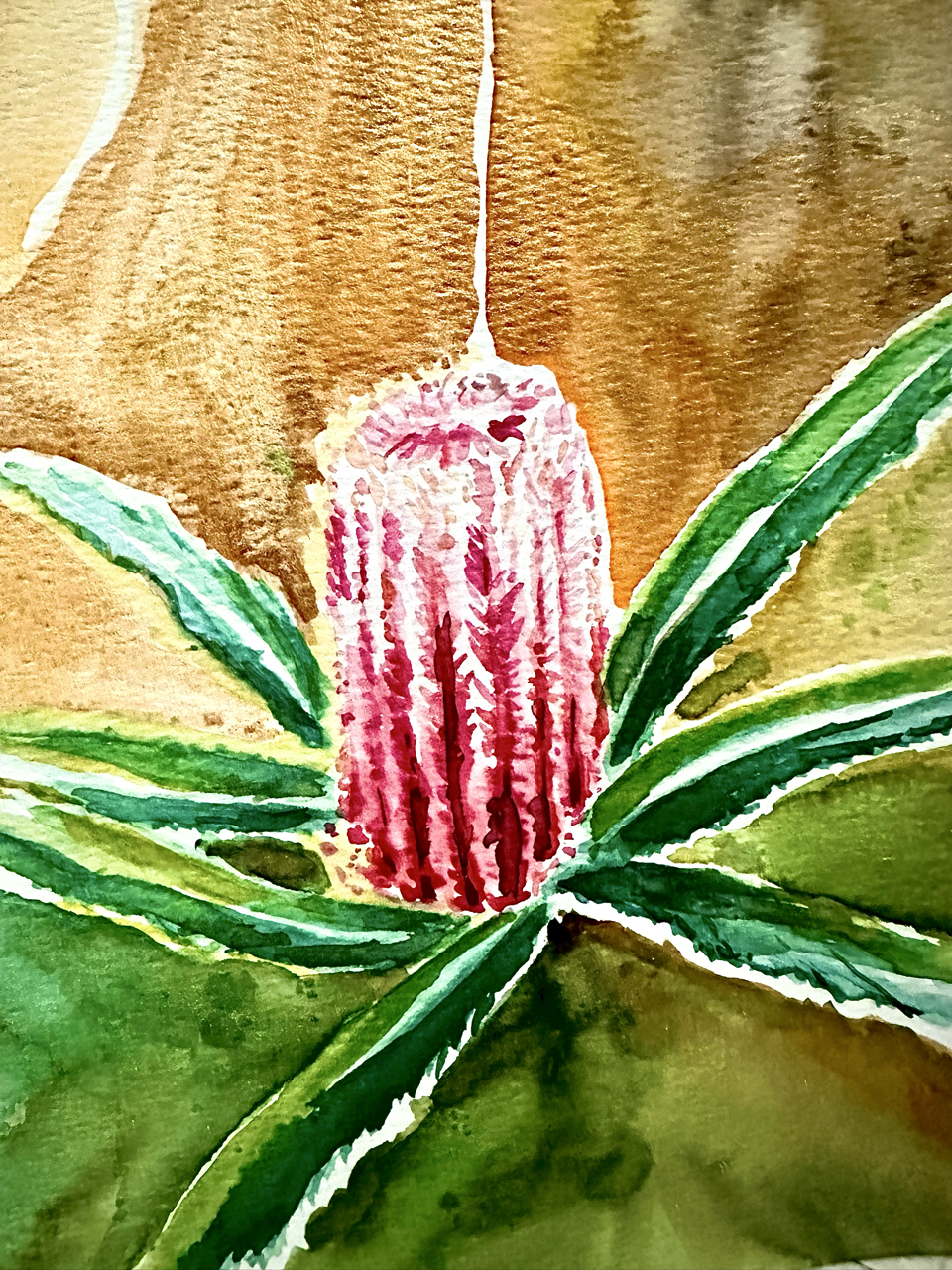 Huy Lim Kha - His - 2026 bottle brush watercolour floral painting