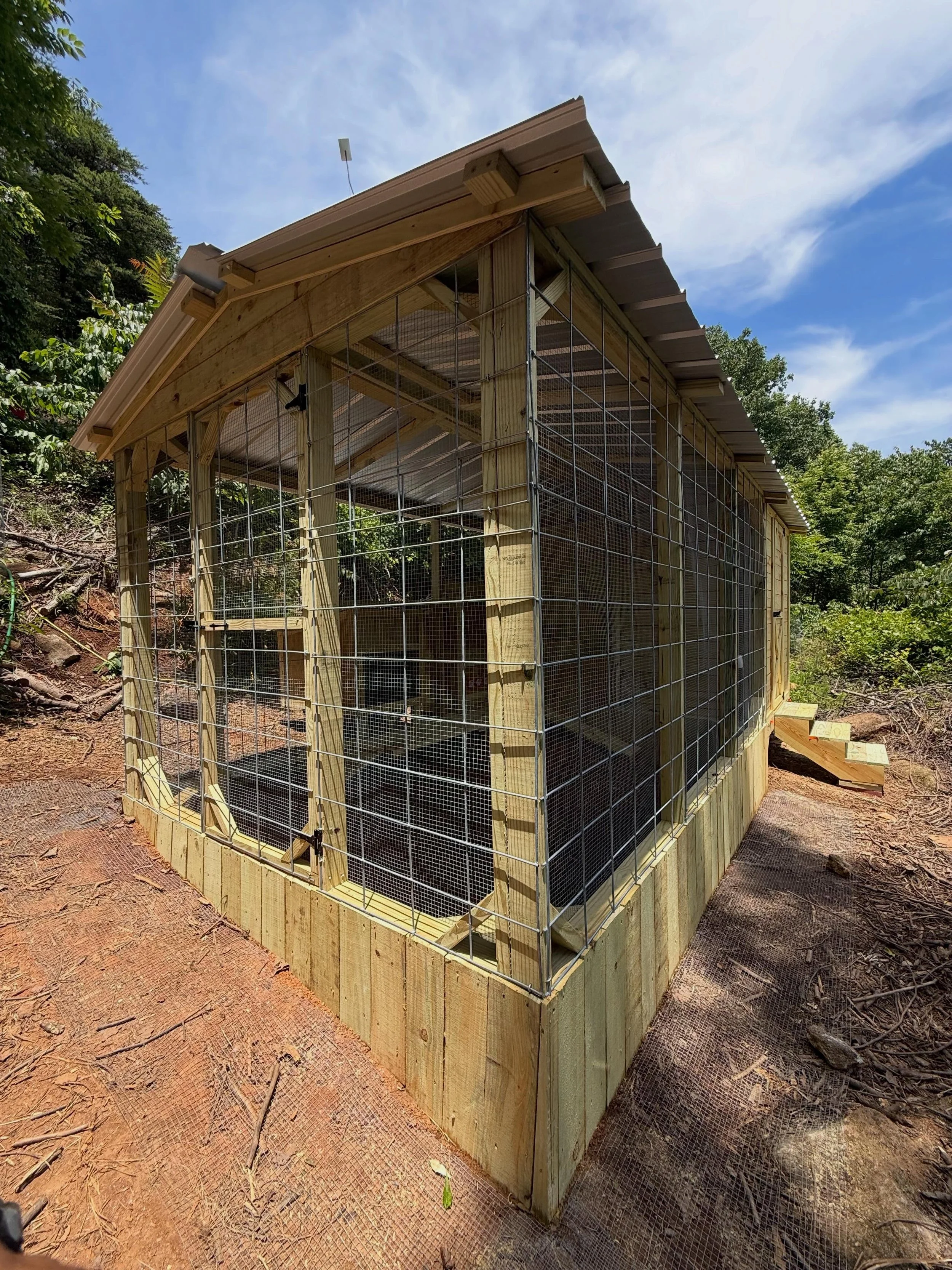 The Duck Mansion Deluxe