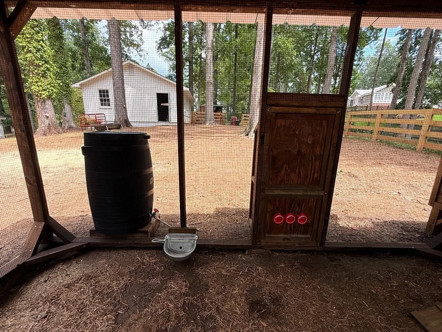 Rain Barrel Water System