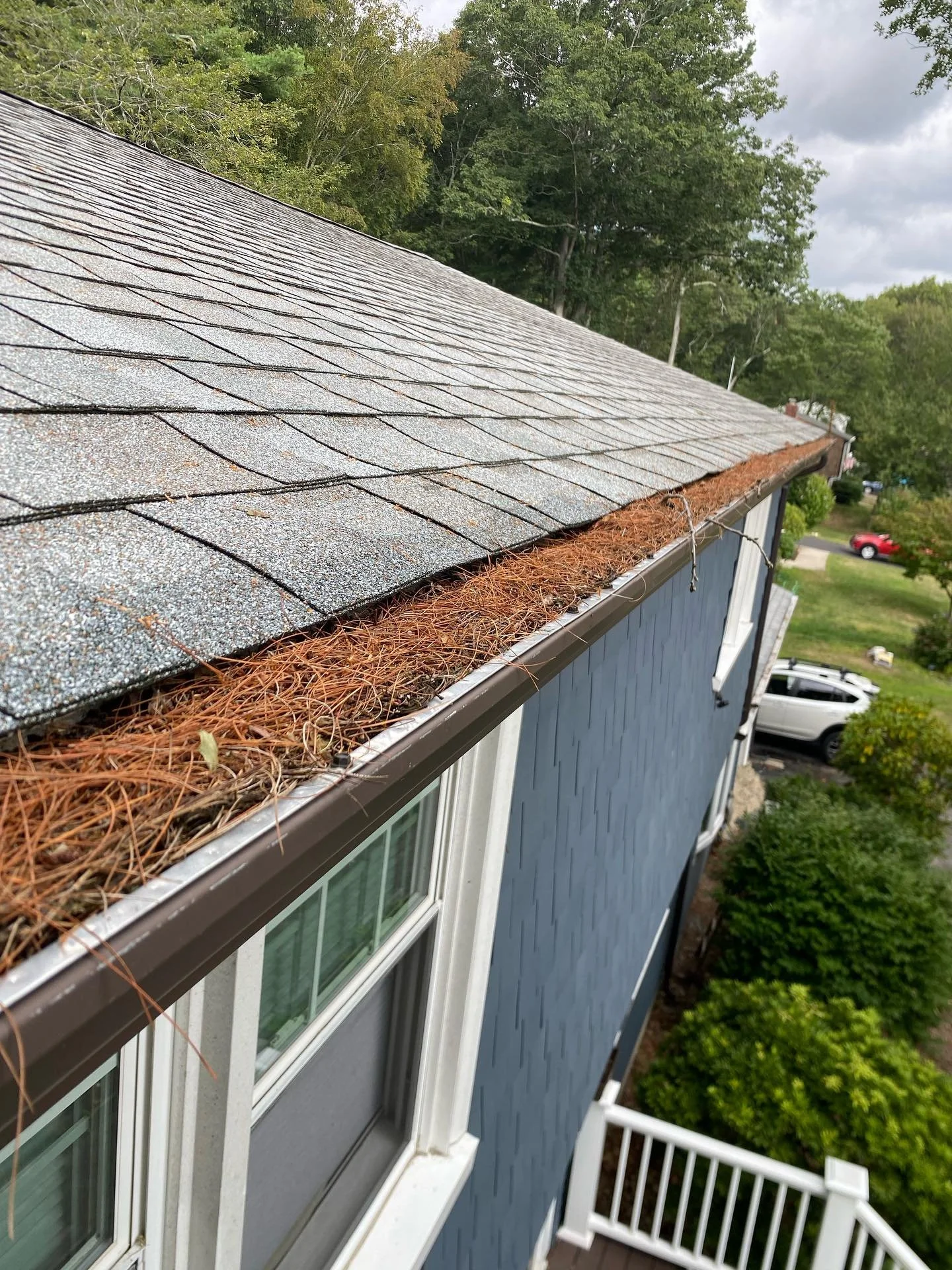 Do your gutters need cleaning? Dm or call us at 401-203-1351 to get a estimate for gutter cleaning.