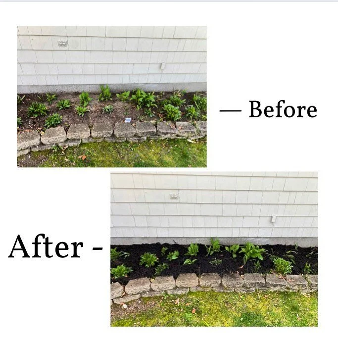 Spring cleanups!! Do you or anyone you know want their yard cleaned, mowed, and landscaped by a professional? Dm or call us at 401-203-1351 to get a estimate. #localbusiness #back