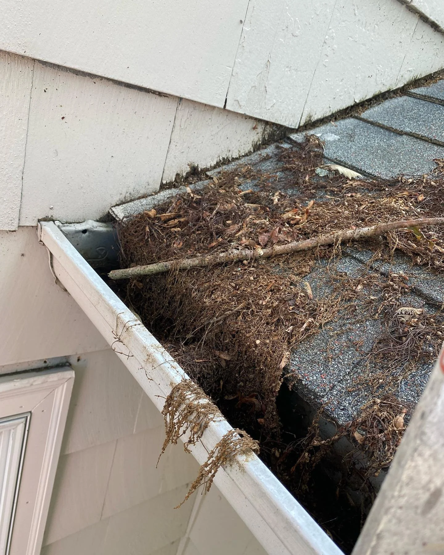 If your gutters are dirty call CD right now!!!!