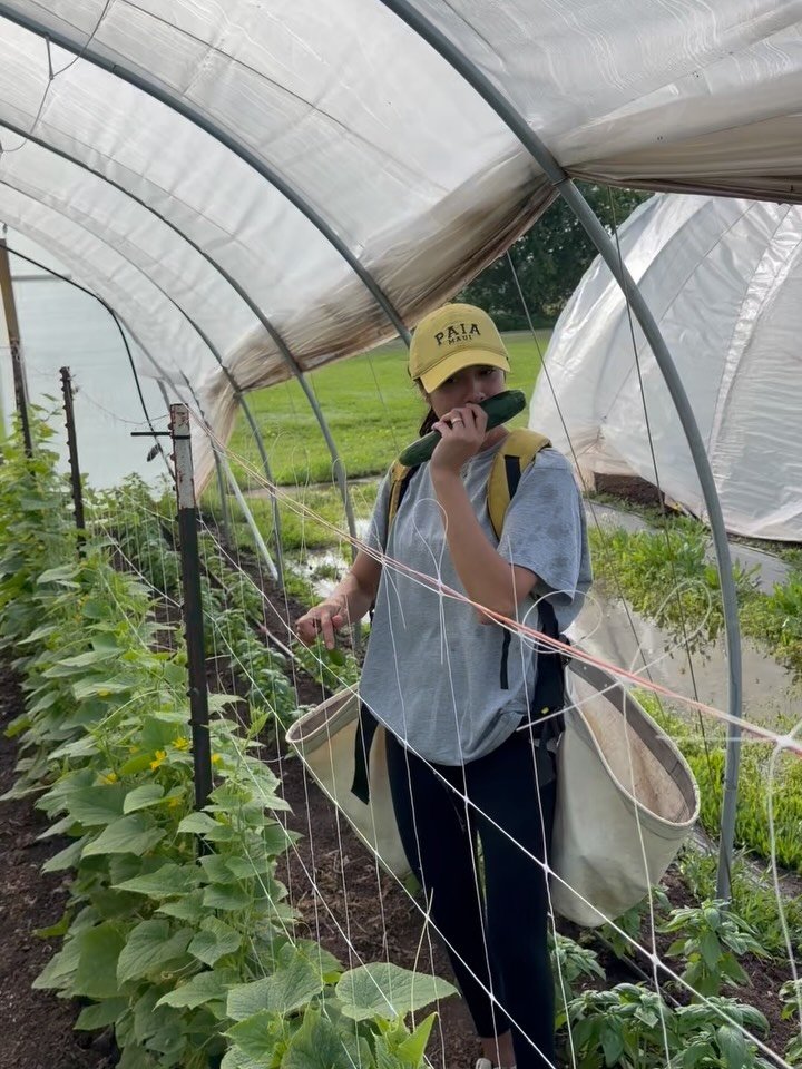 For Earth Day, I got my hands back in the dirt. 🌱

Matt and I had a long season living on a ranch: chickens, animals, land as far as you could see!!! We even brought the chicken coop to the suburbs when we moved, but somewhere along the way I lost t