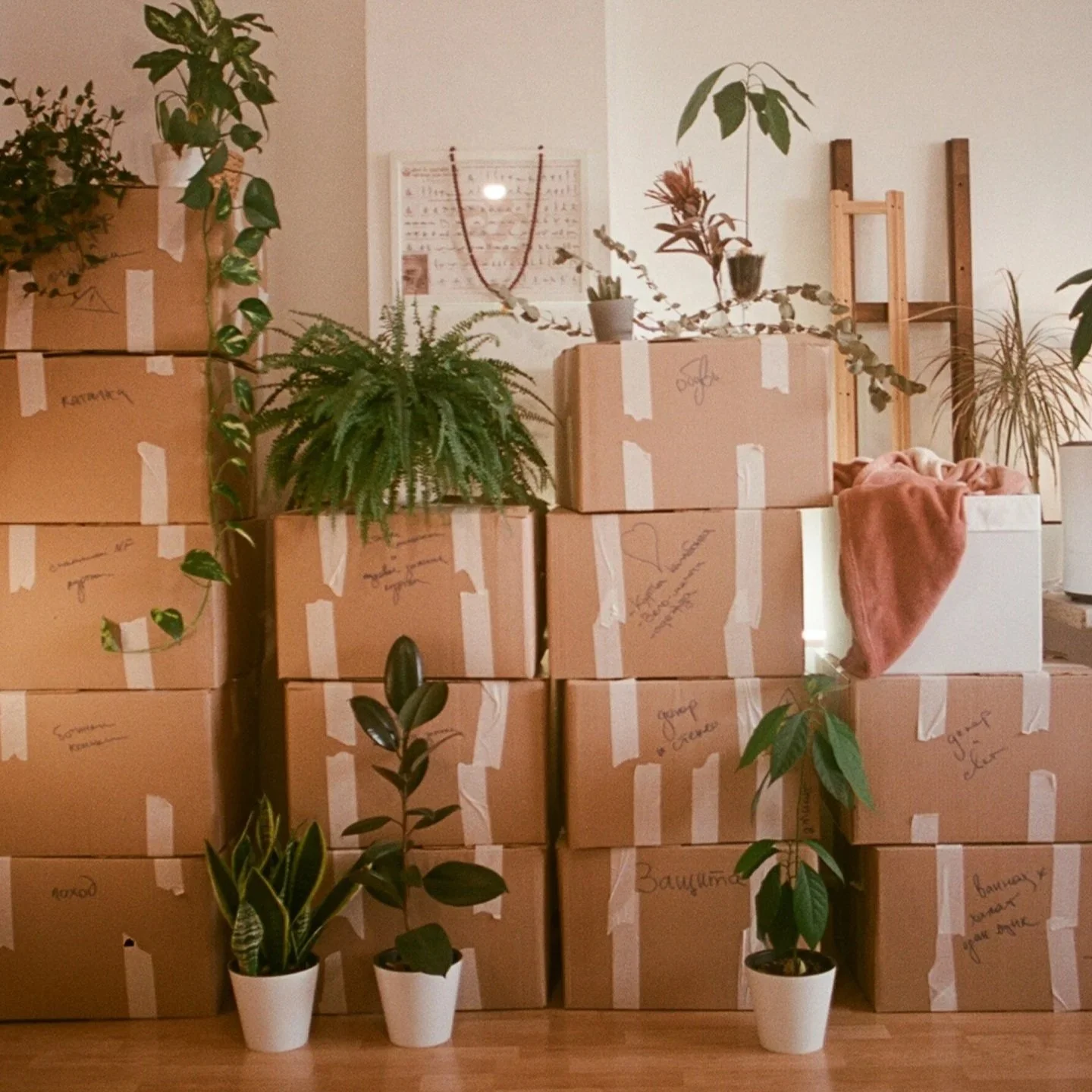 Shipping Supplies
