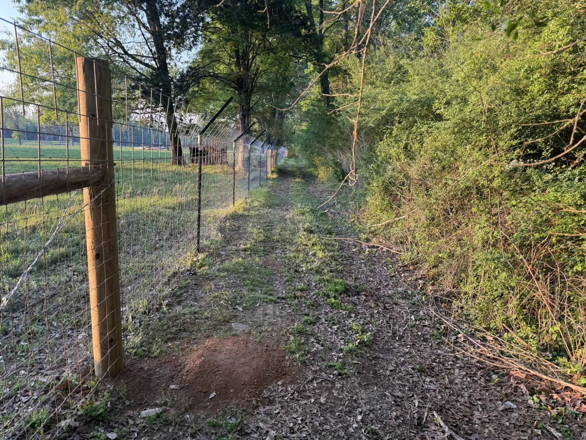 AGG Fence 