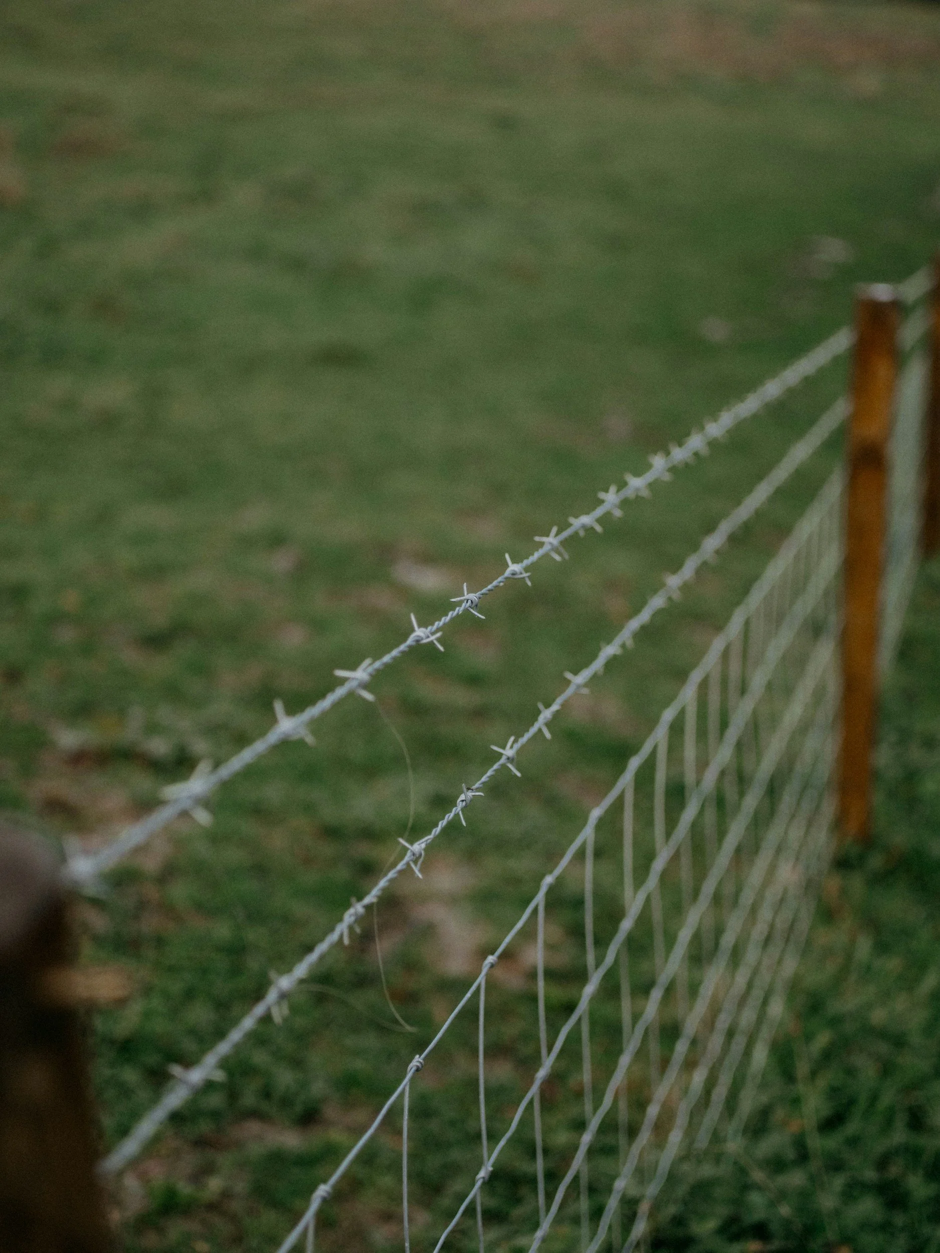 Agricultural fence 